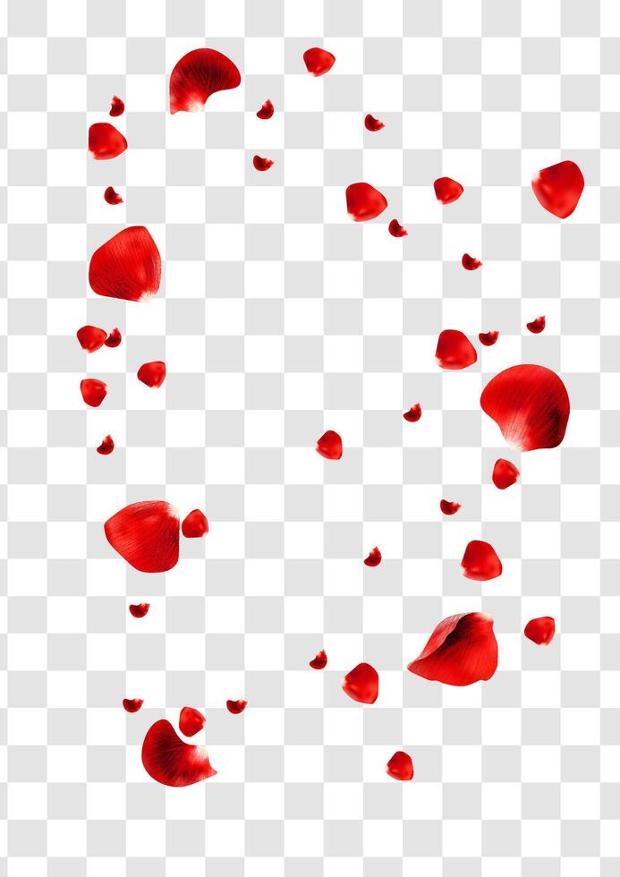 Realistic red rose petals flying around vector