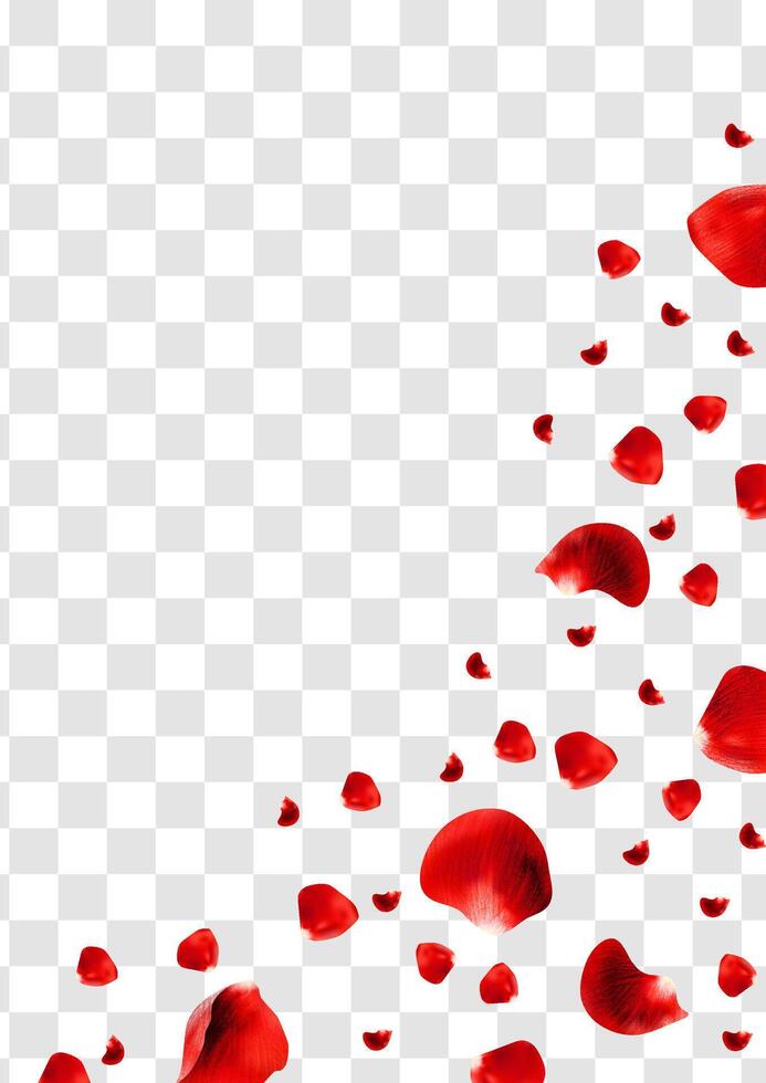 Realistic red rose petals corner composition vector