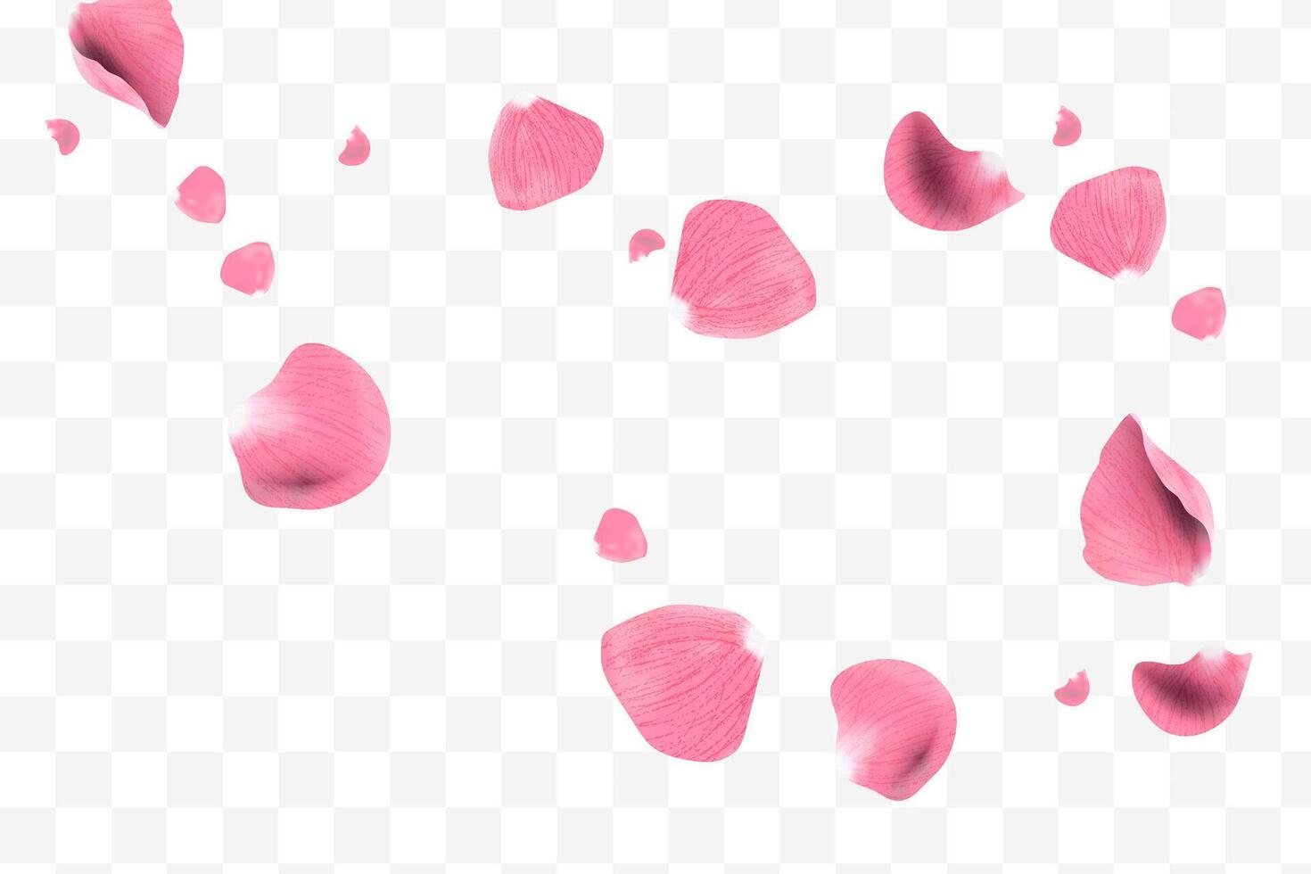 Realistic pink rose petals flying decorations vector