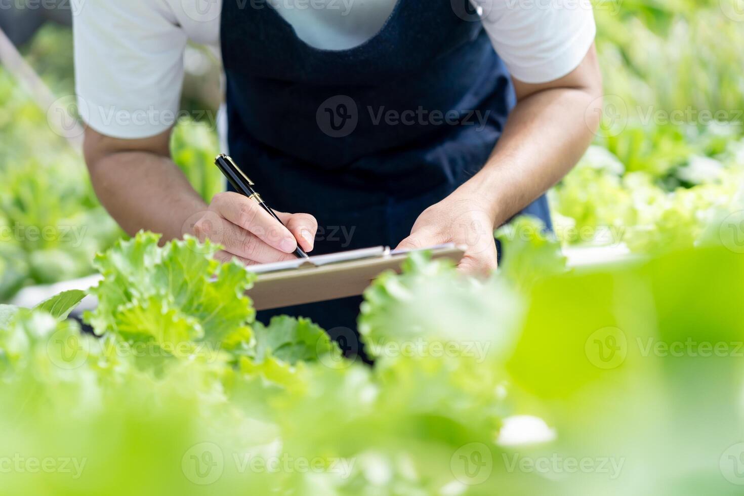 Organic farming, vegetable farm. Farmers recheck quality record on data on checklist. grow naturally, Ecological Biological, Healthy, Technology, non toxic, harvest, scientific , academic photo