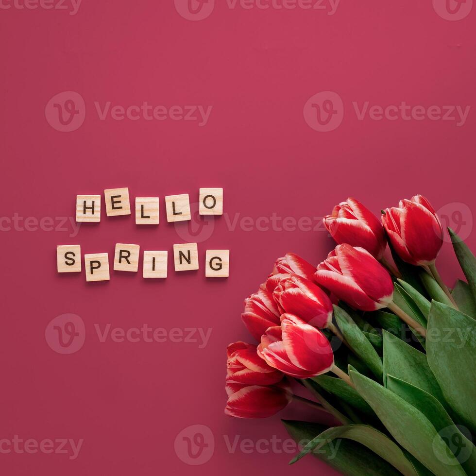 Hello spring concept in Viva Magenta red color. Aesthetic background for beginning of spring. Hello spring text and bunch of red tulip on red Viva Magenta Color 2023 background. Top view or flat lay photo