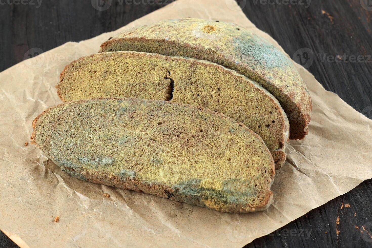 Moldy Bread Toast Slices with Fungus photo