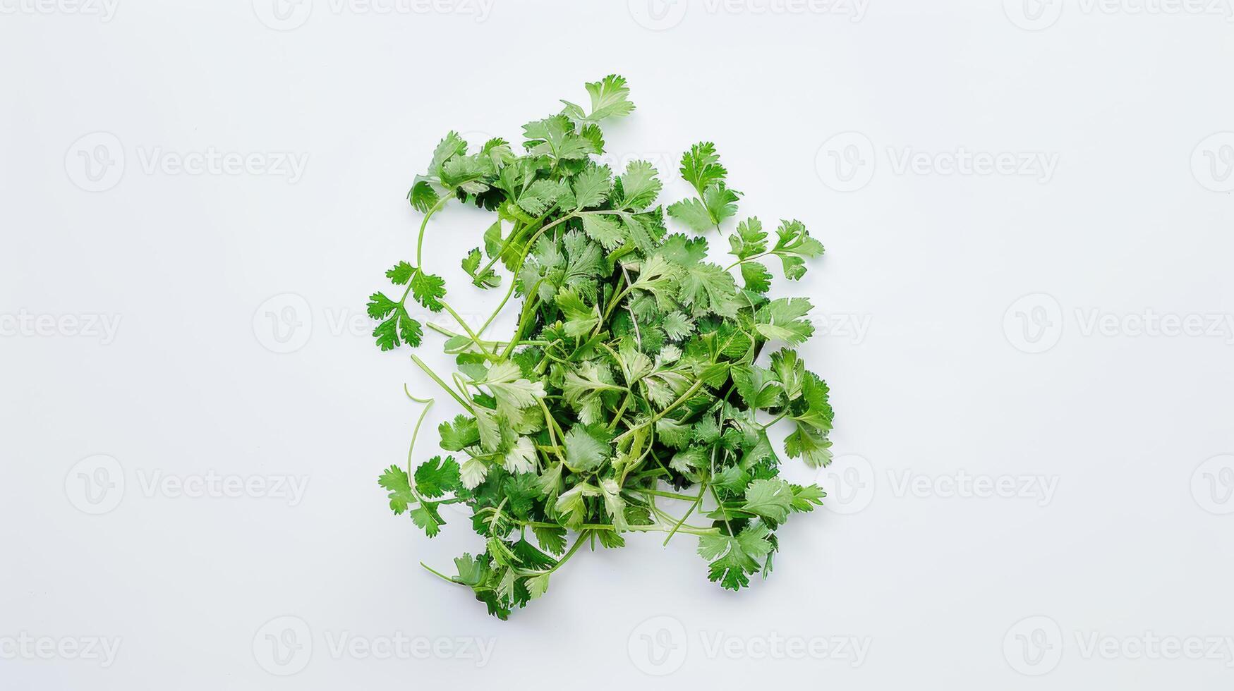 Fresh coriander leaves forming a pattern on a white background. photo