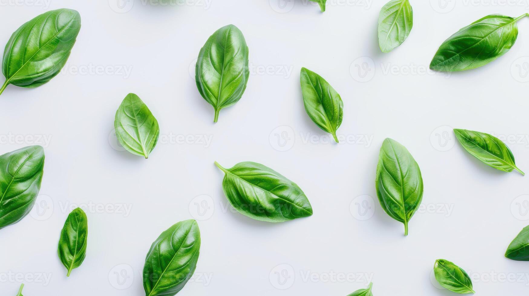 Vibrant pattern of fresh basil leaves on a white background photo