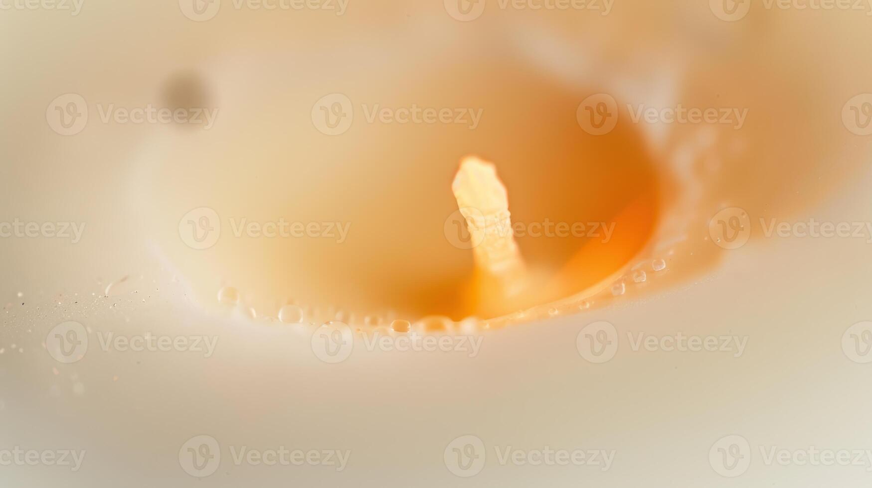 Tranquil close-up of a snuffed candle wick emitting elegant wisps of smoke. photo