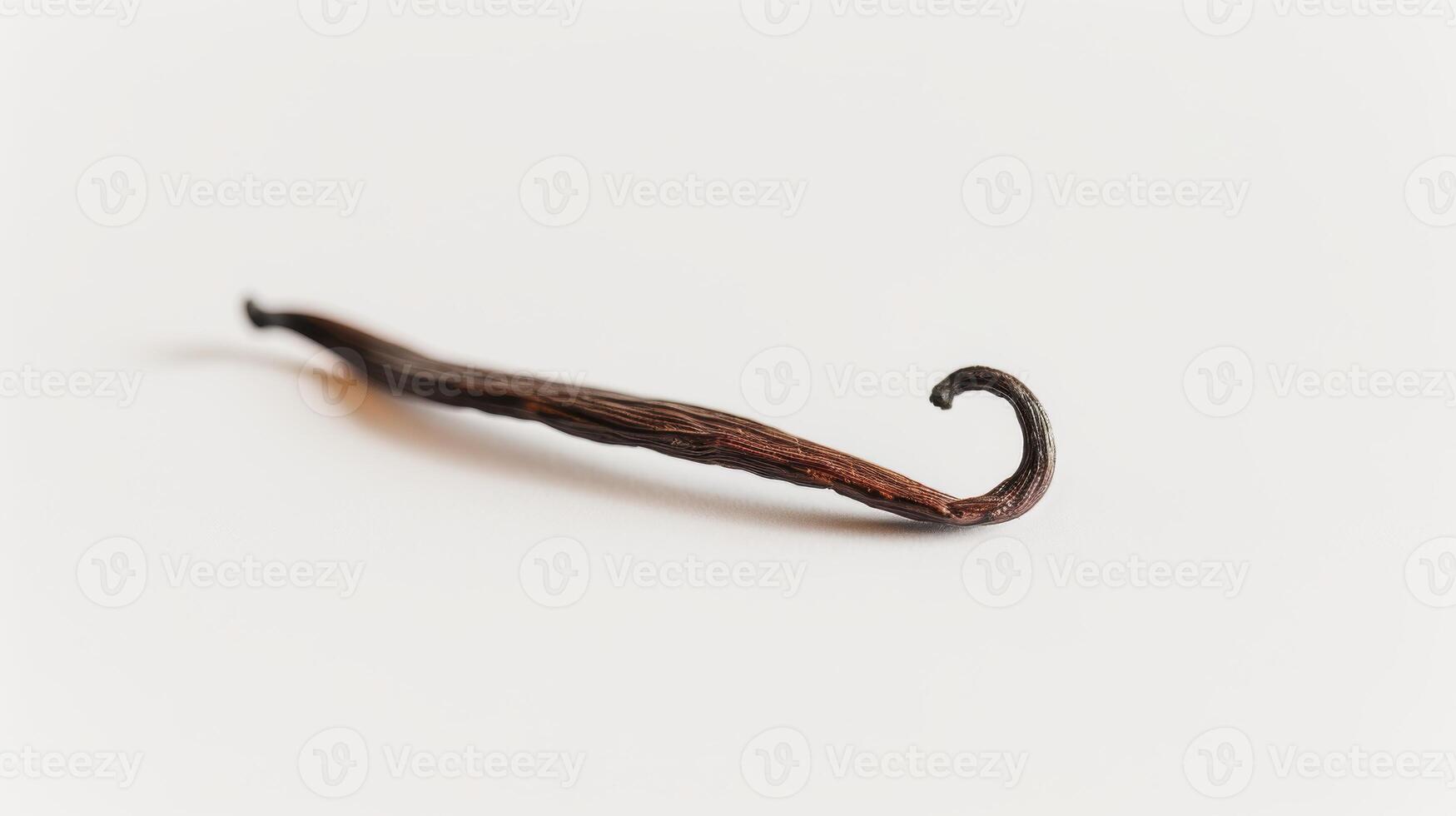 Vanilla bean pod resting on a white background, curled up on the right side photo