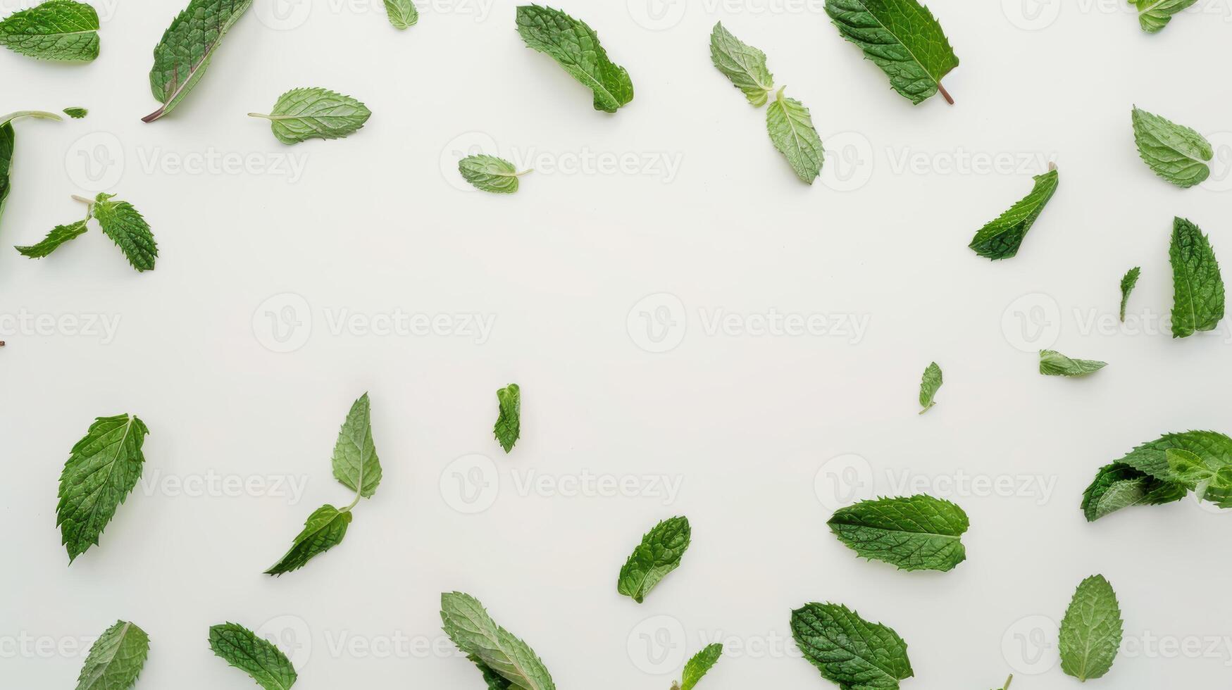 Mint leaves arranged in a frame on a white background with space for text in the center photo