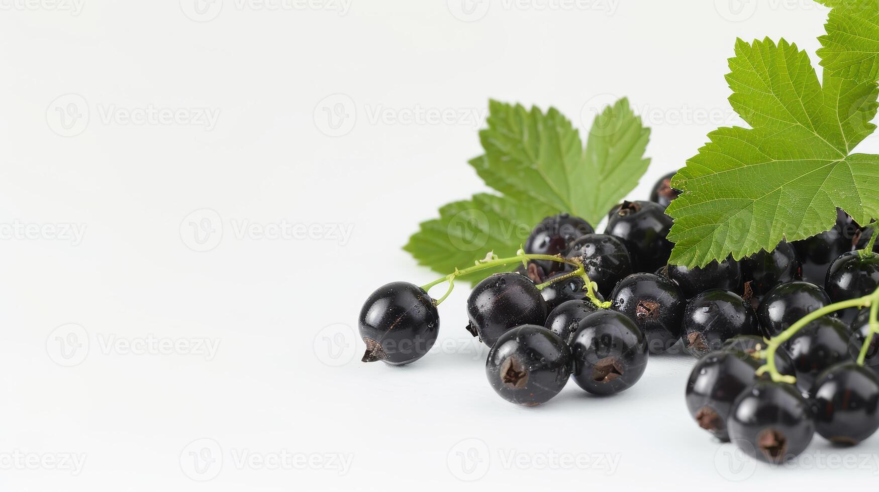Black currant berries and leaves resting on a white backdrop, evoking a fresh and summery scene photo