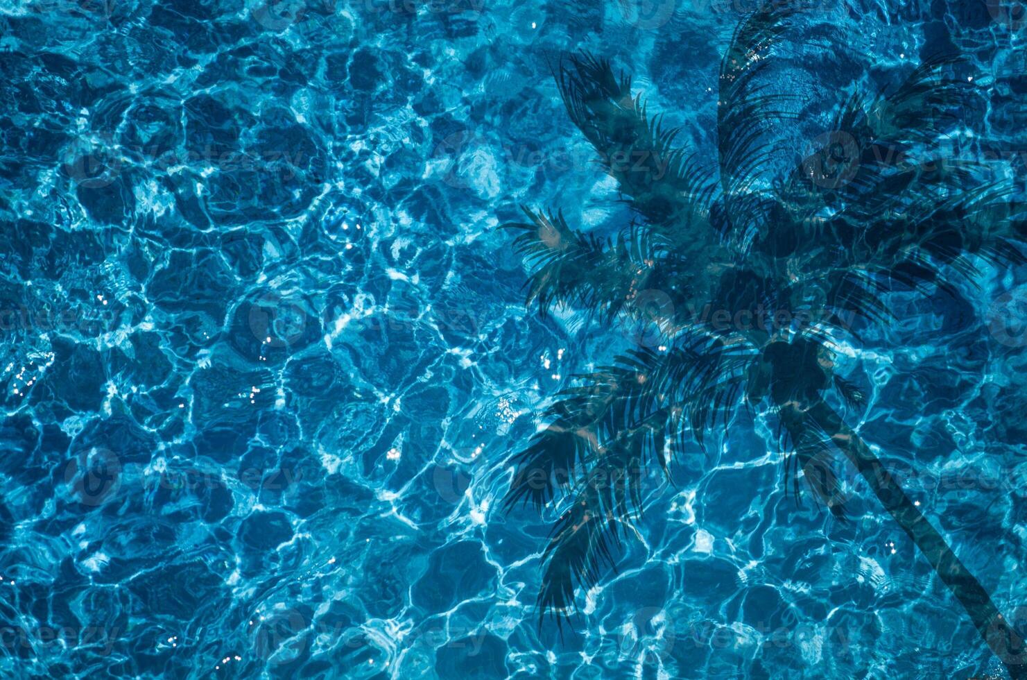 Shadow of a palm tree on a Blue pool background, Summer Concept, vacation Concept photo
