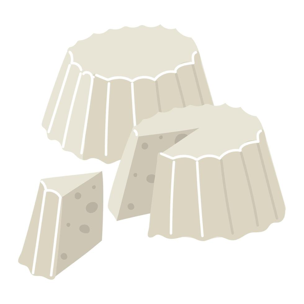 Molded Ricotta cheese in a flat style. A group of a whole, incised and triangular piece. Illustration of a dairy product, light cheese isolated on a white background. Pressed product for sale vector