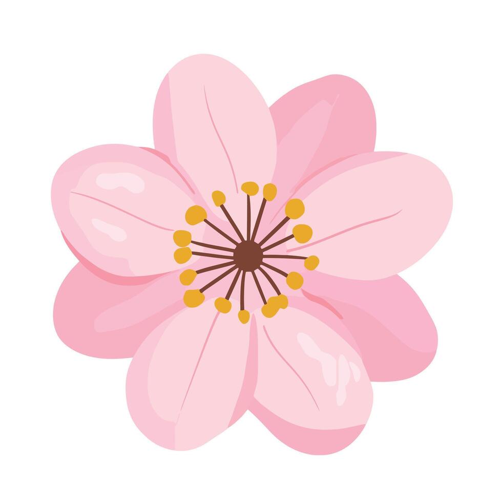A pink flower with a yellow center on a white background vector