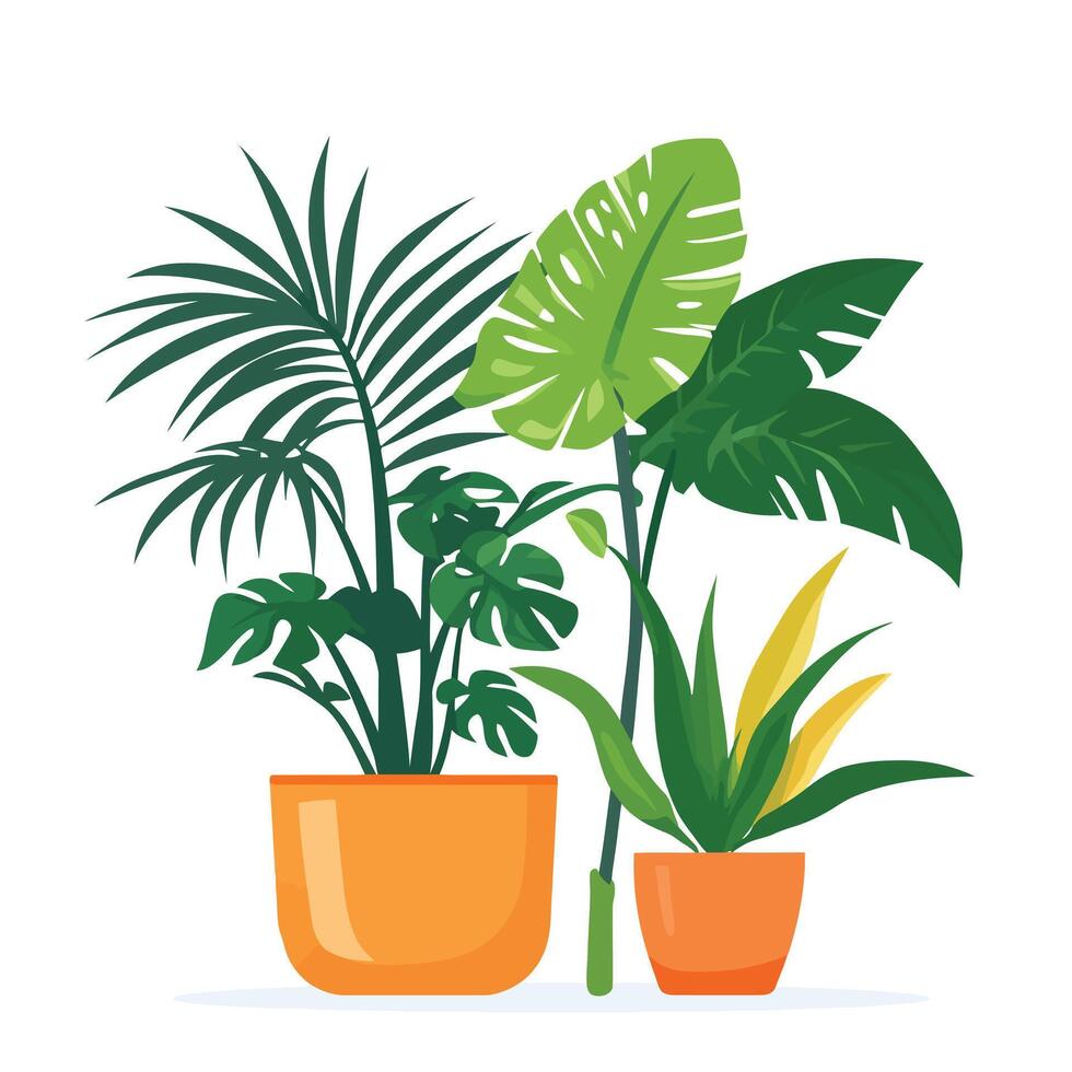 Three different types of house plants in pots vector
