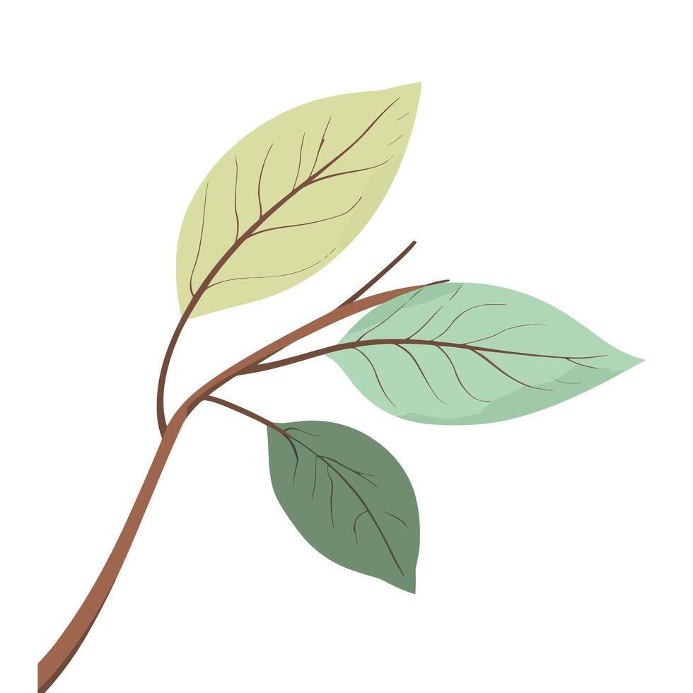 A branch with leaves on it vector