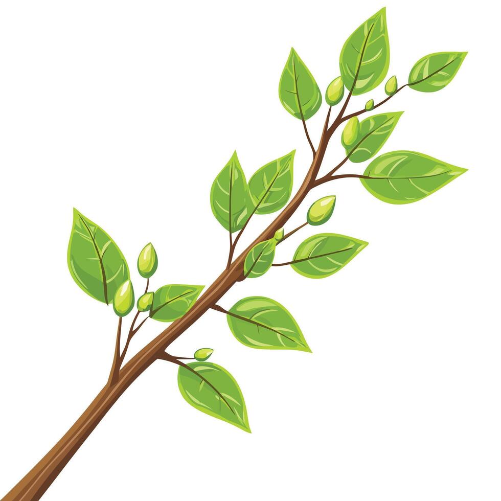 A branch with leaves vector