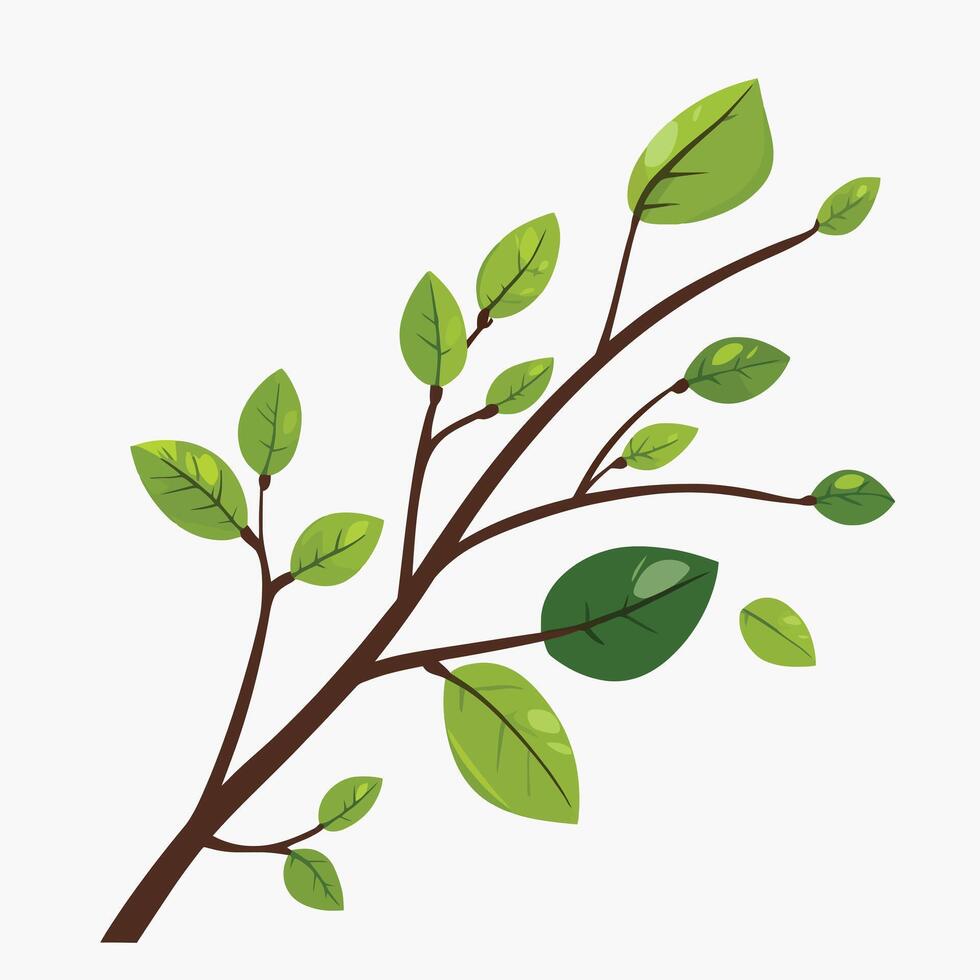 A branch with green leaves on it vector
