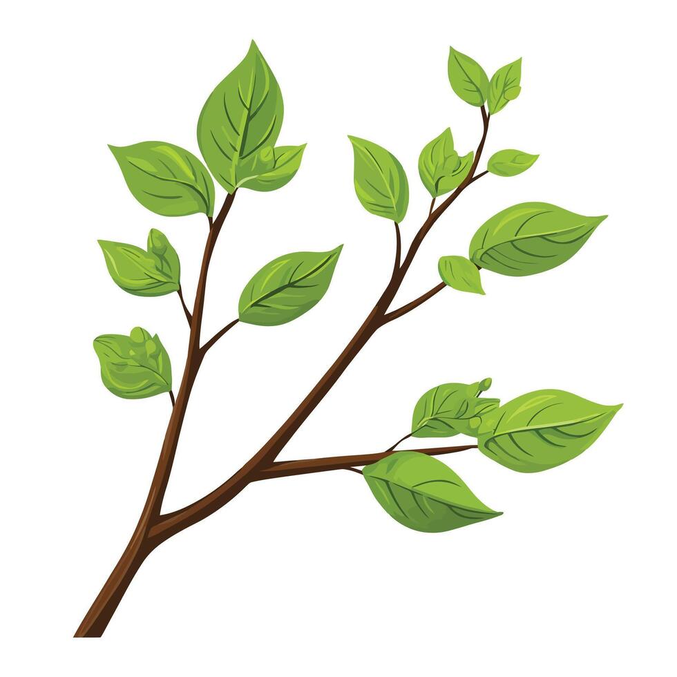 A branch with leaves on it vector