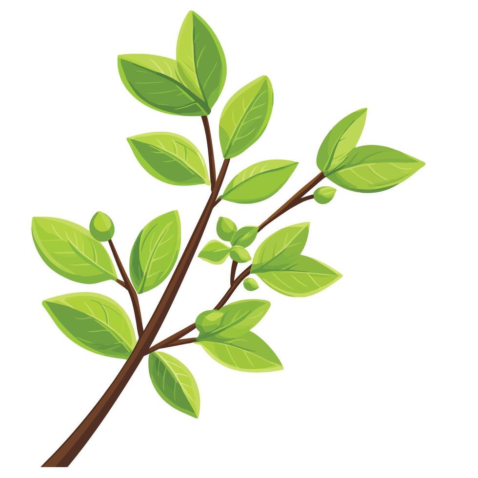 A branch with leaves and buds vector