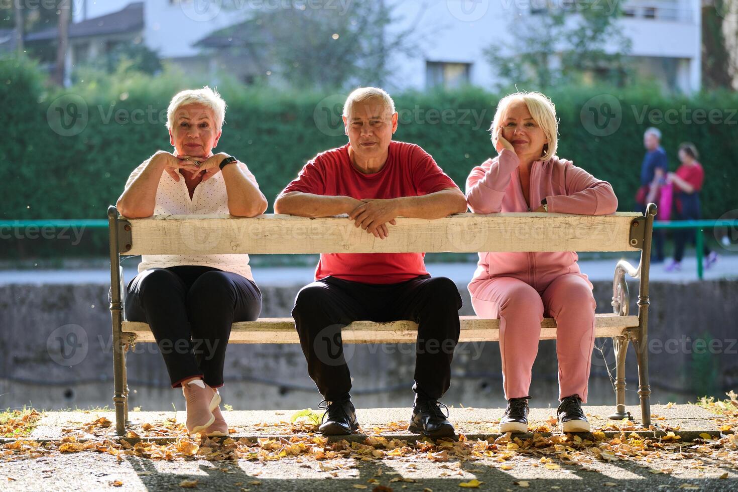 A group of elderly individuals, including a senior man and two older women, sits in a park on a sunny autumn day, embodying the concept of healthy aging through companionship, relaxation, and outdoor photo