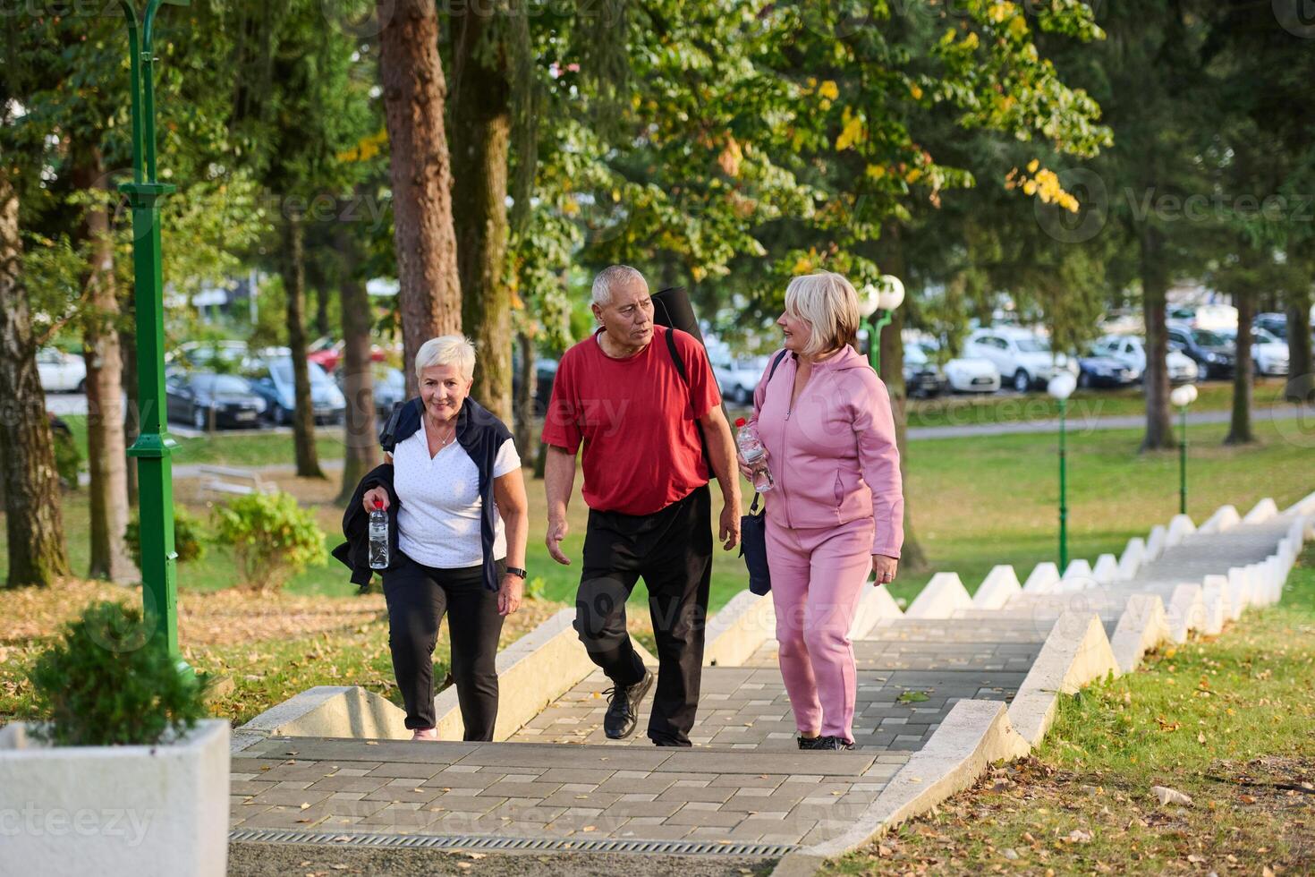A group of senior friends takes a well-deserved break in nature, fostering not only fitness but also camaraderie and a shared commitment to maintaining a healthy and active lifestyle in their golden photo