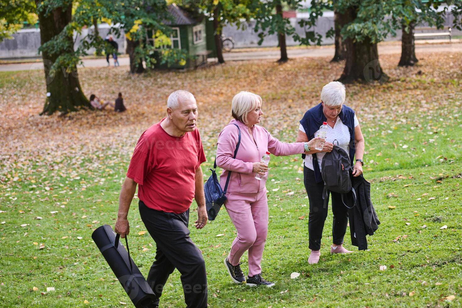 A group of senior friends takes a well-deserved break in nature, fostering not only fitness but also camaraderie and a shared commitment to maintaining a healthy and active lifestyle in their golden photo