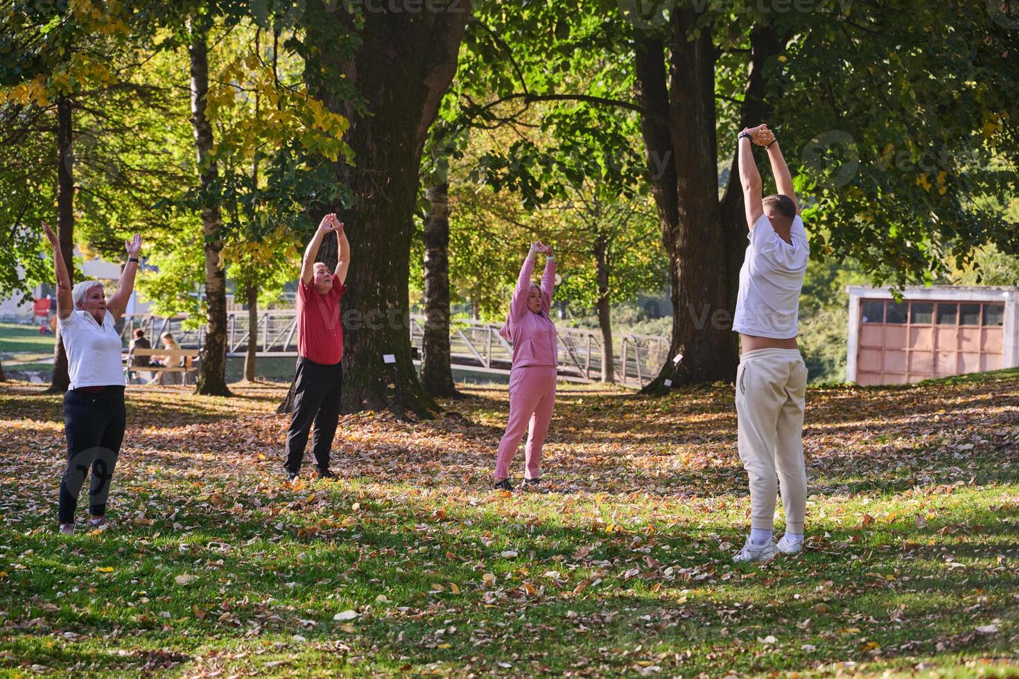 A group of seniors follows a trainer, engaging in outdoor exercises in the park, as they collectively strive to maintain vitality and well-being, embracing an active and health-conscious lifestyle in photo