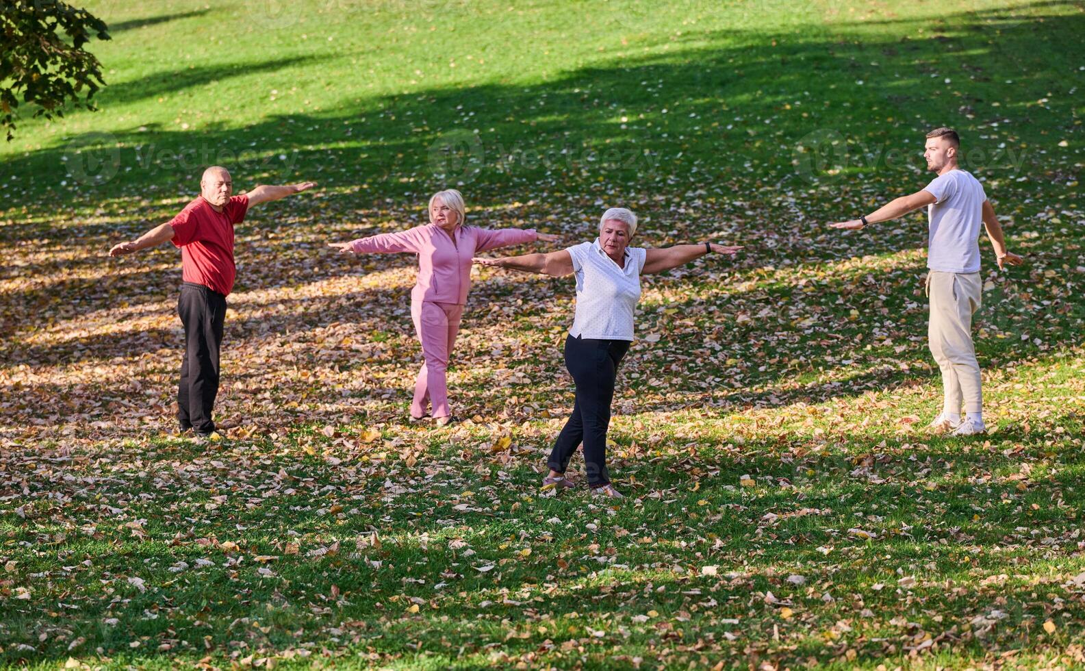 A group of seniors follows a trainer, engaging in outdoor exercises in the park, as they collectively strive to maintain vitality and well-being, embracing an active and health-conscious lifestyle in photo