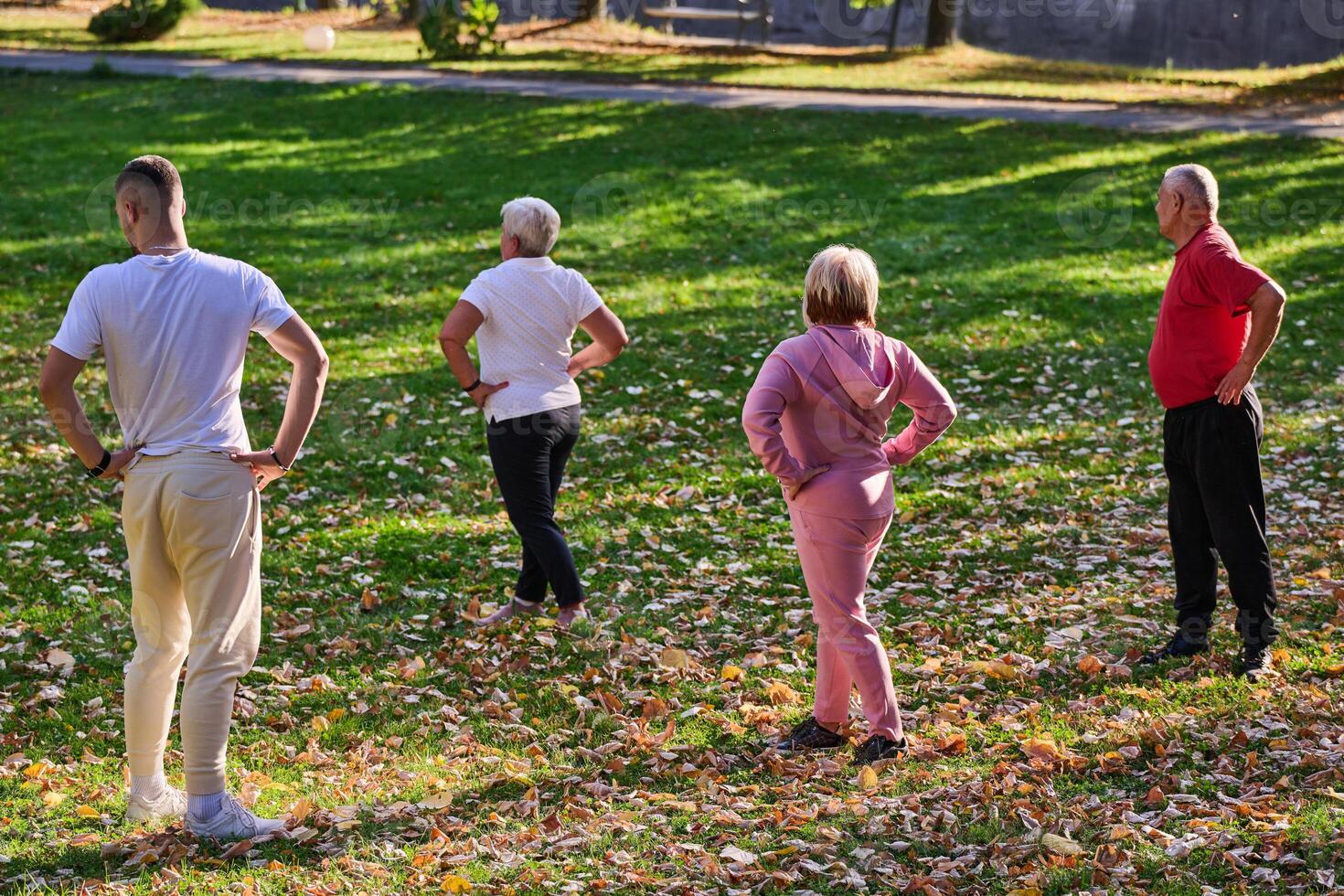 A group of seniors follows a trainer, engaging in outdoor exercises in the park, as they collectively strive to maintain vitality and well-being, embracing an active and health-conscious lifestyle in photo