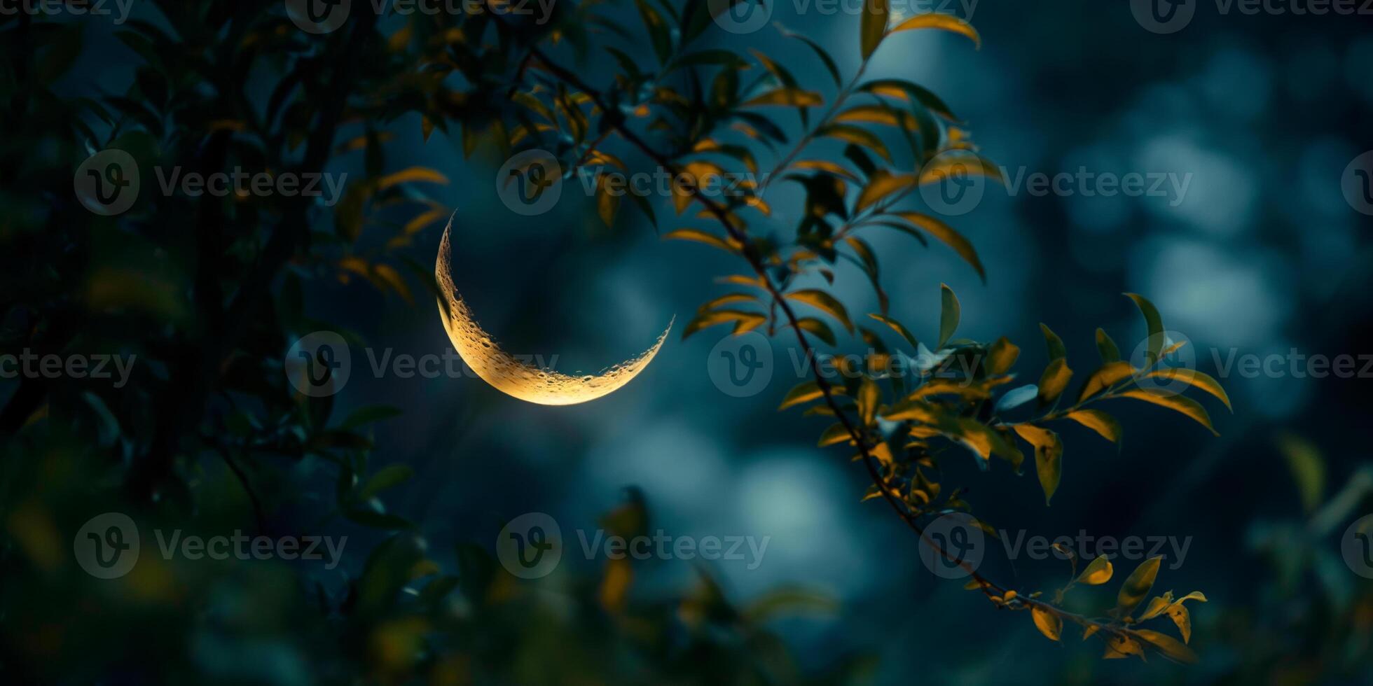 Enchanting Moonlit Night with Crescent Moon and Glowing Leaves in a Mystical Forest photo
