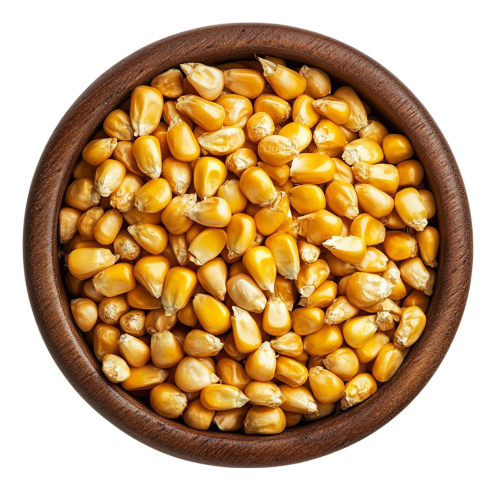 Bowl of Lightly Roasted Yellow Corn with Golden Hue png