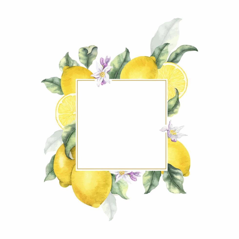 Lemon Branches with fruits, flowers and leaves. Isolated hand drawn watercolor frame. Tropical citrus fruit. Template for menu, package, cosmetic, textile, cards vector