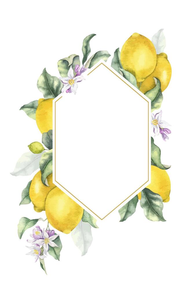 Lemon Branches with fruits, flowers and leaves. Isolated hand drawn watercolor frame. Tropical citrus fruit. Template for menu, package, cosmetic, textile, cards vector