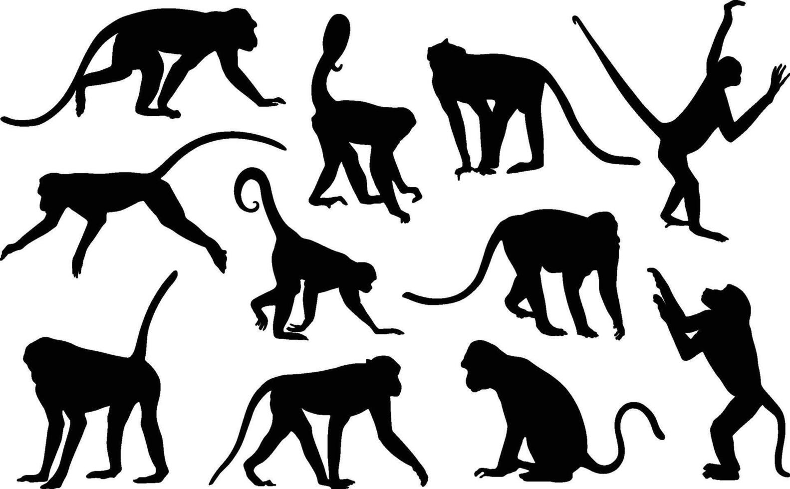 monkey silhouettes set vector