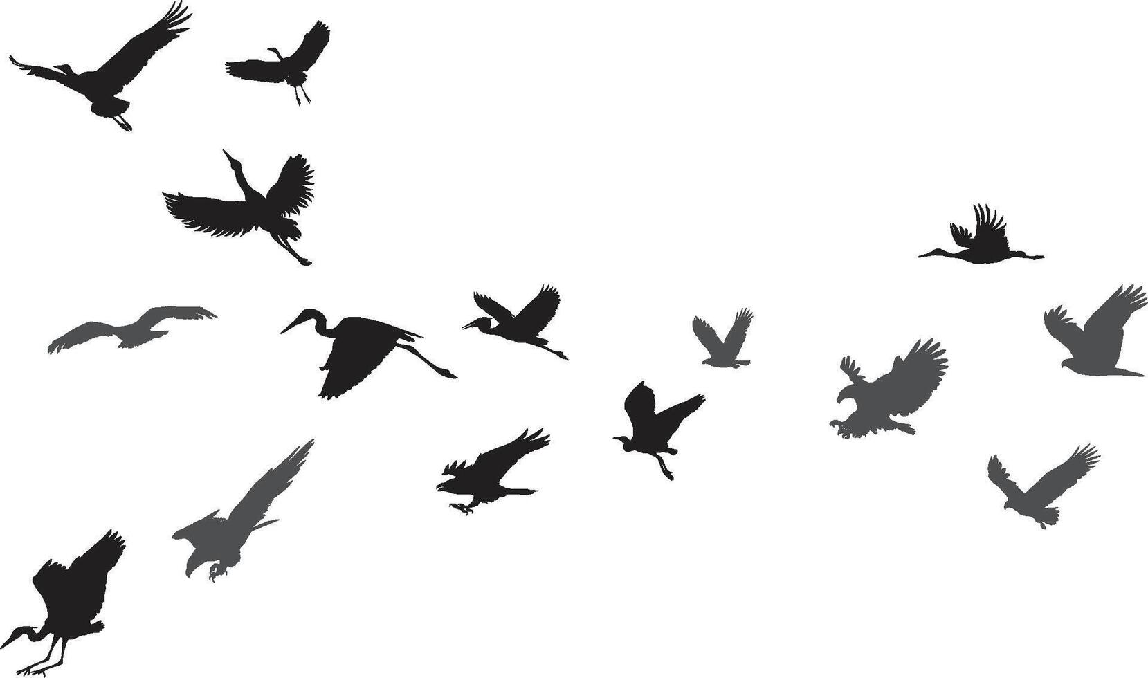 flock of birds silhouette vector