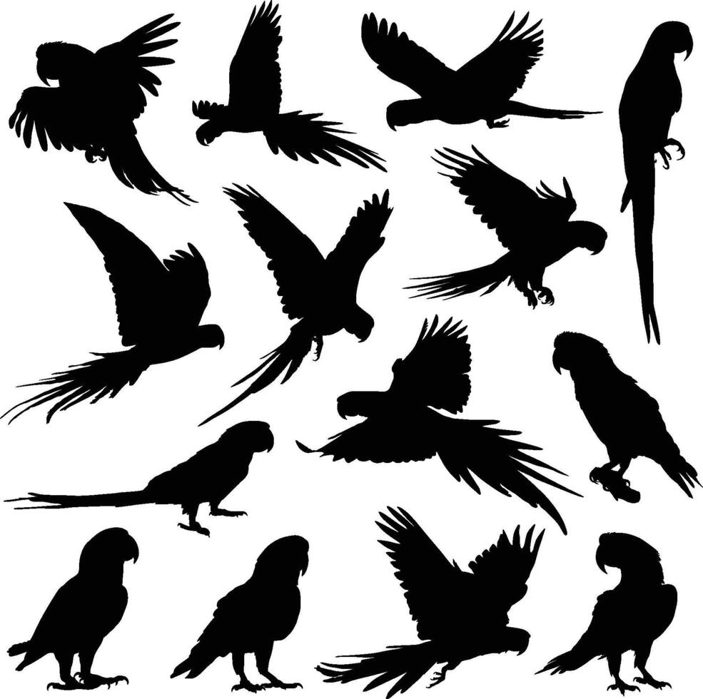 parrot silhouettes set vector