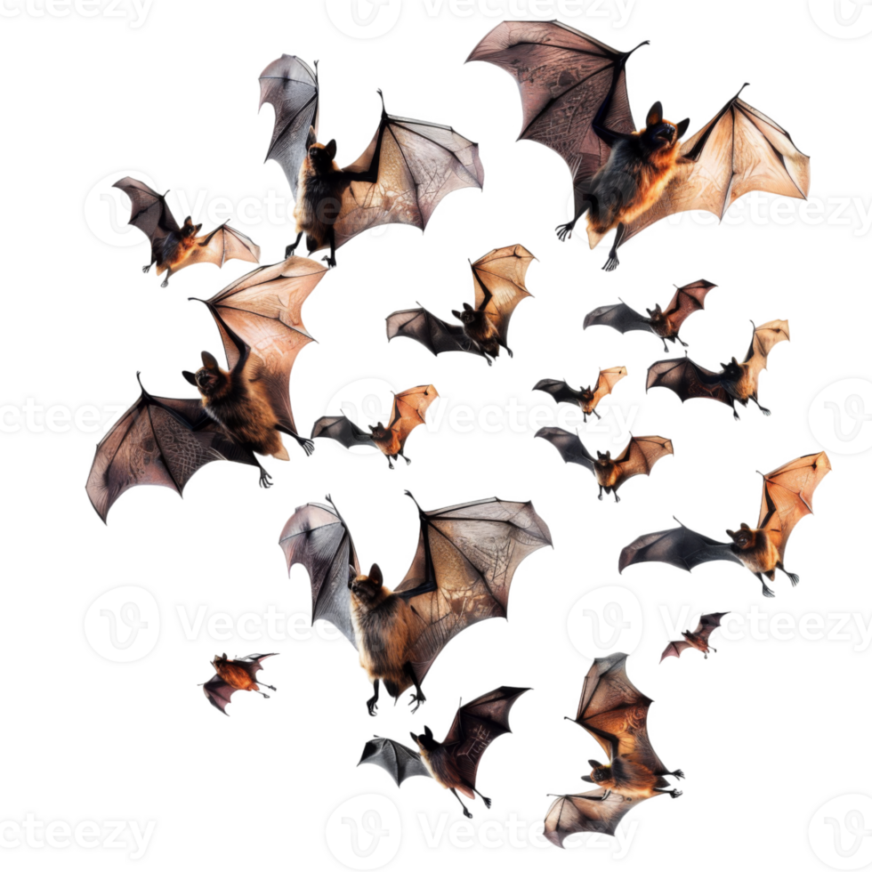 A Flock of Bats Flying in the Night png