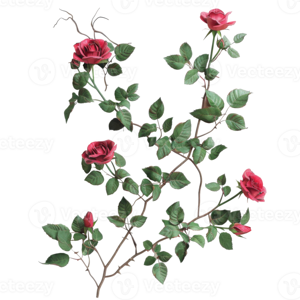 A Rose Bush with Several Pink Roses and Green Leaves png