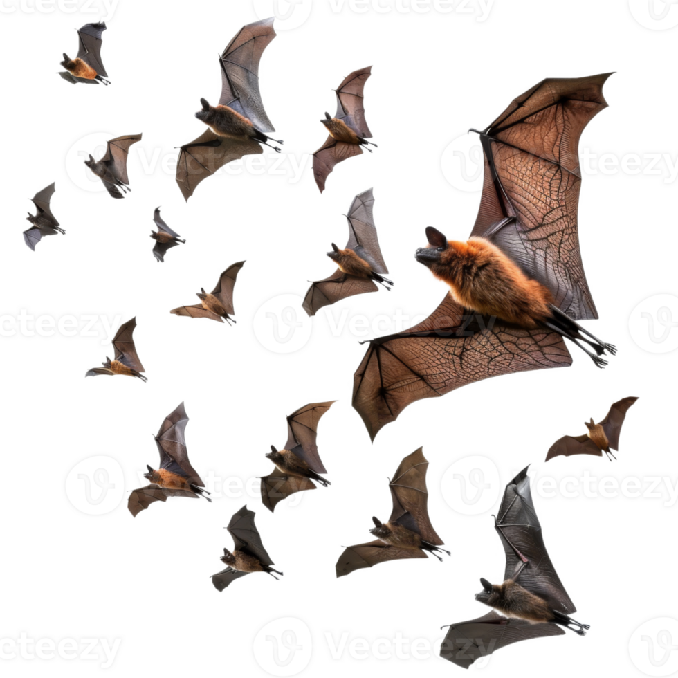 A Group of Bats in Flight Against a Black Background png