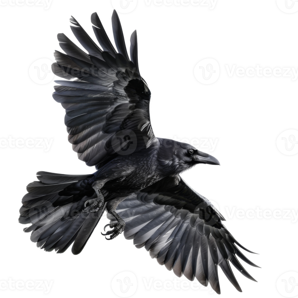 A Black Raven in Flight with Spread Wings Against a Black Background png