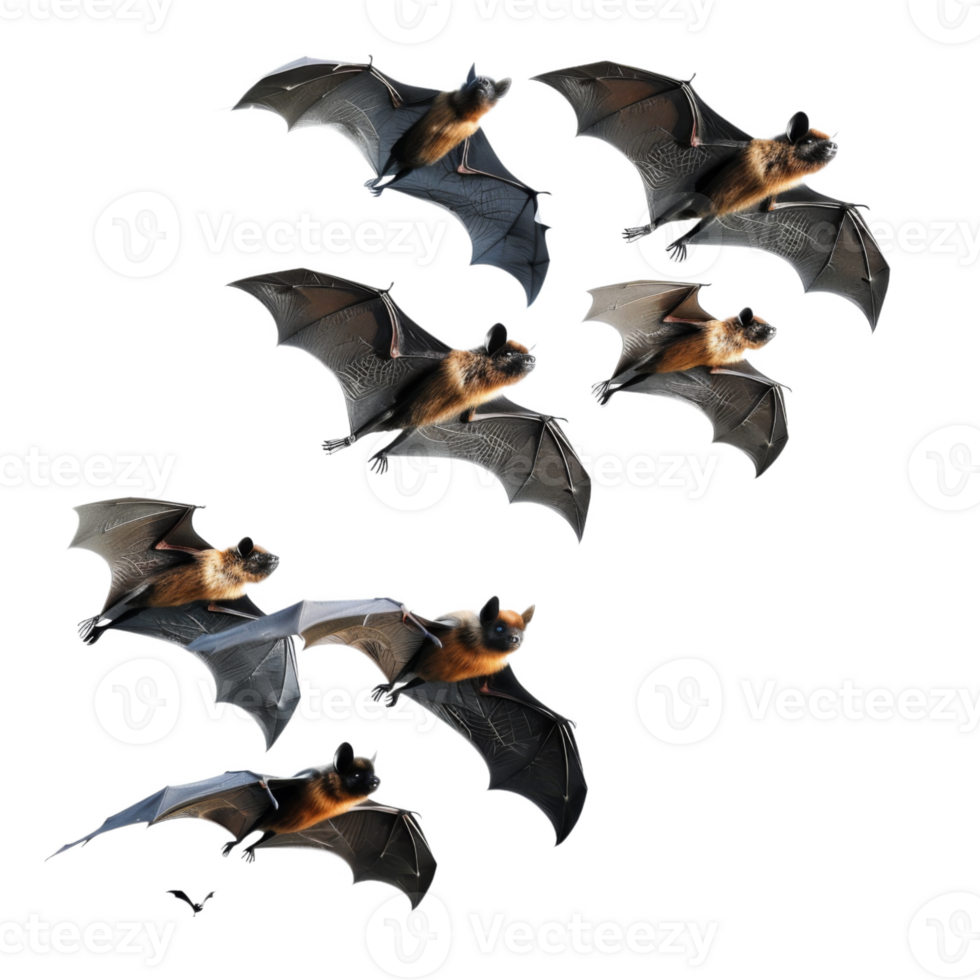 A Group of Flying Bats with Black and Brown Fur png