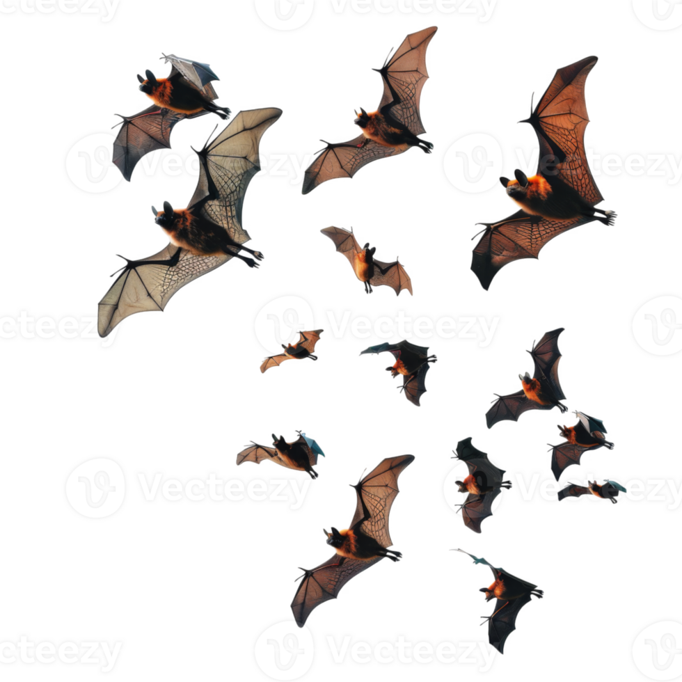A Swarm of Bats Flying Against a Black Background png
