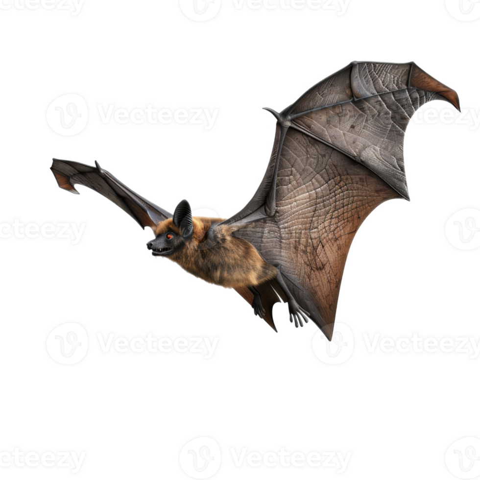 A brown bat in mid-flight with its wings extended png