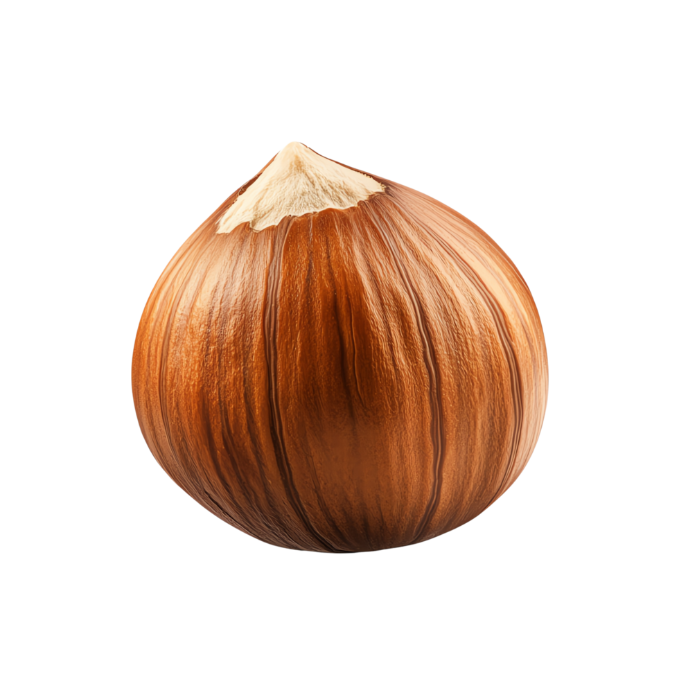 a single hazelnut against, showcasing its texture png