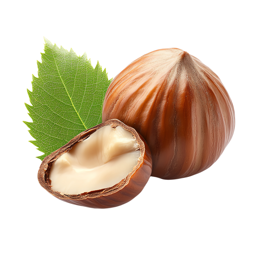 High-quality image of whole and halved hazelnuts with green leaf png