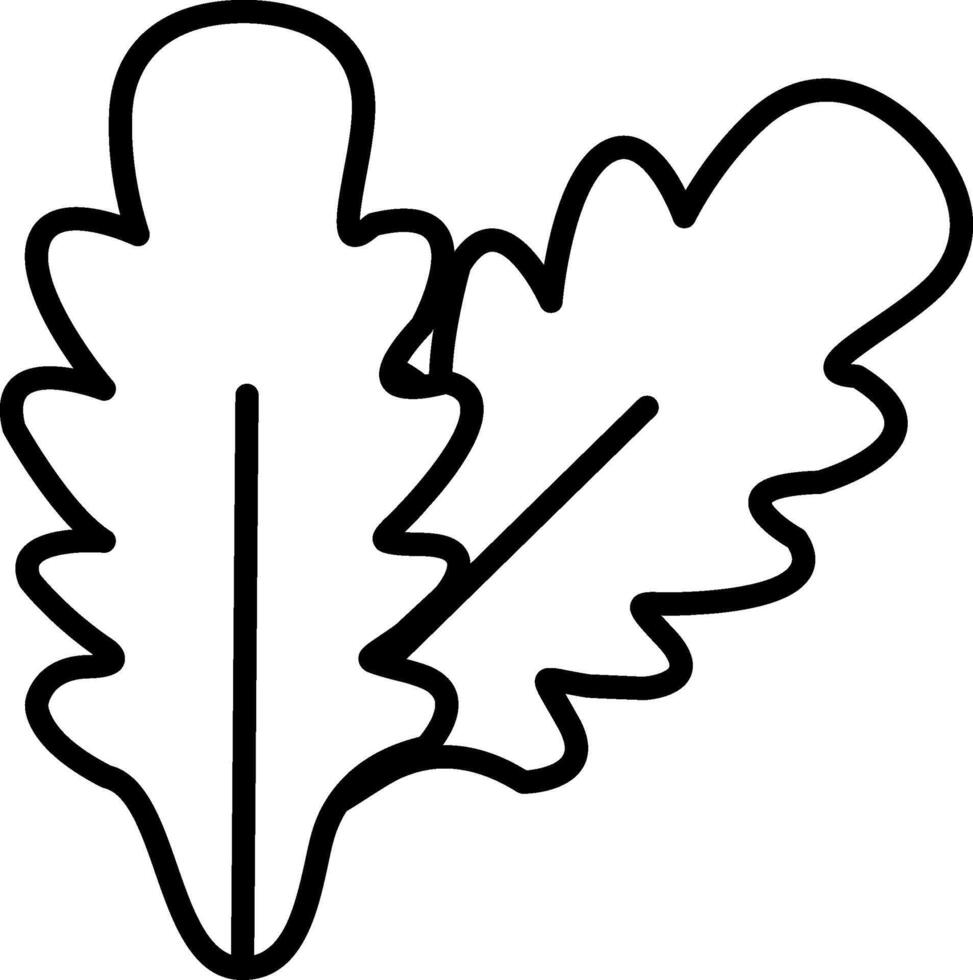 Arugula Line Icon vector