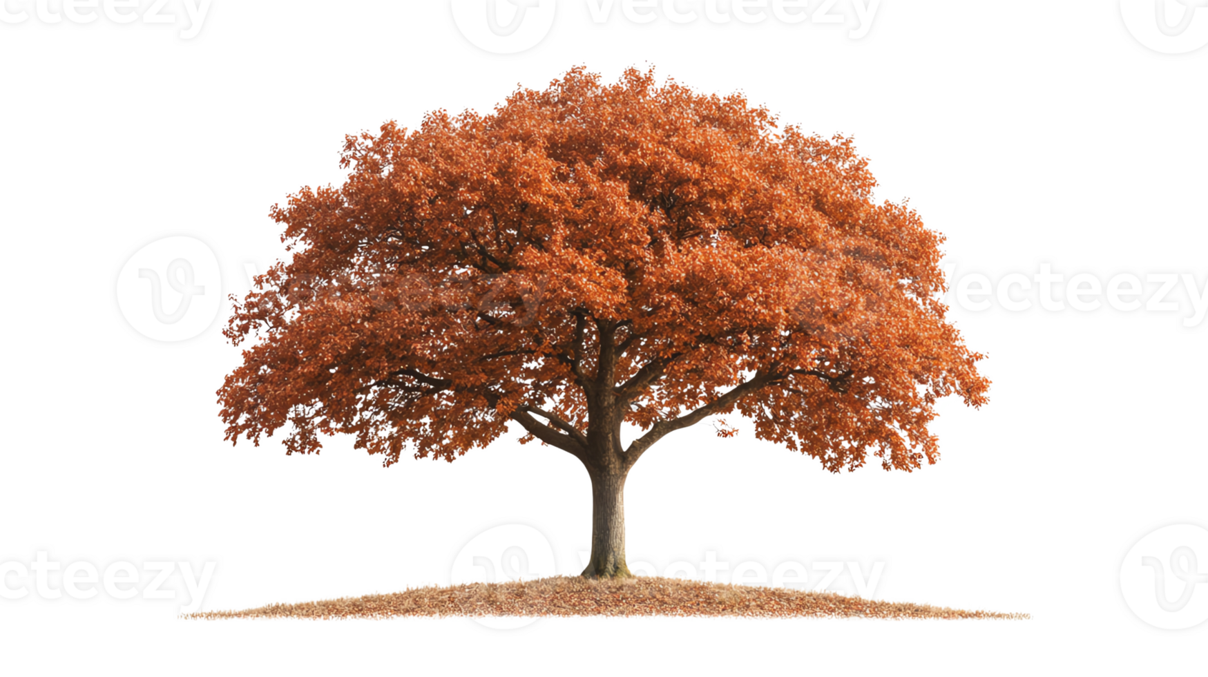 A majestic tree with vibrant autumn foliage png