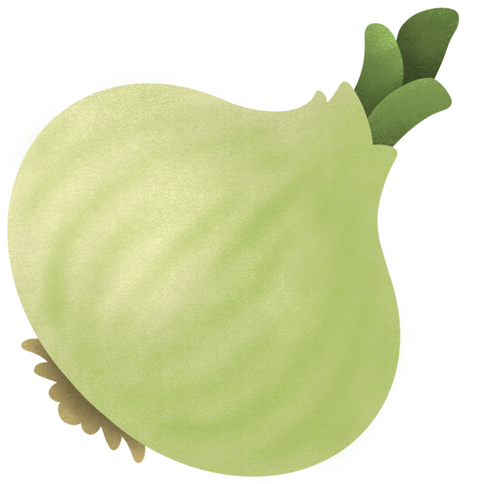White Onion vegetable cute png