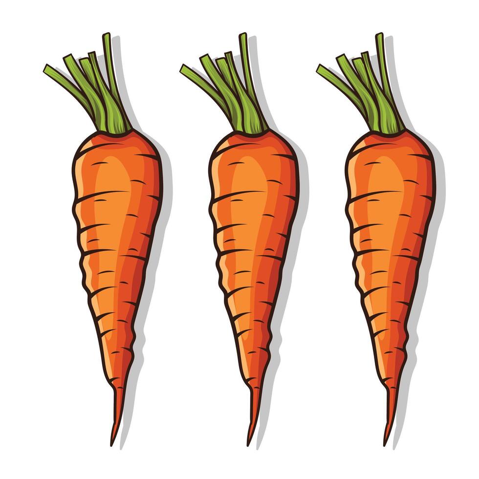 Carrot bundle with cutting leaf illustration design vector