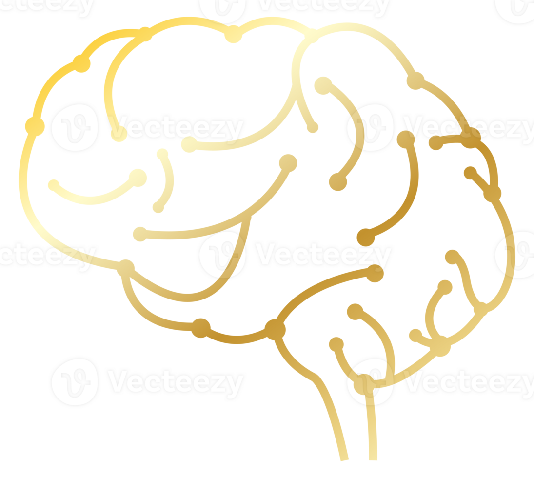 or cerveau plat icône png