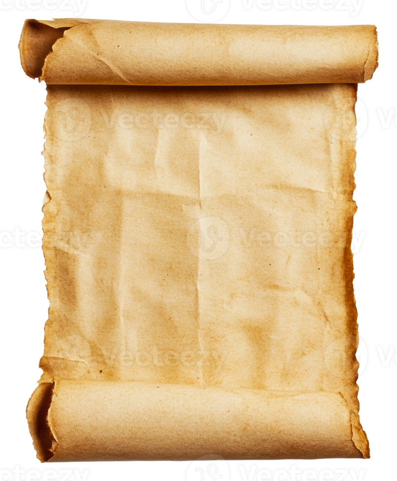 Rolled old parchment on a plain background png