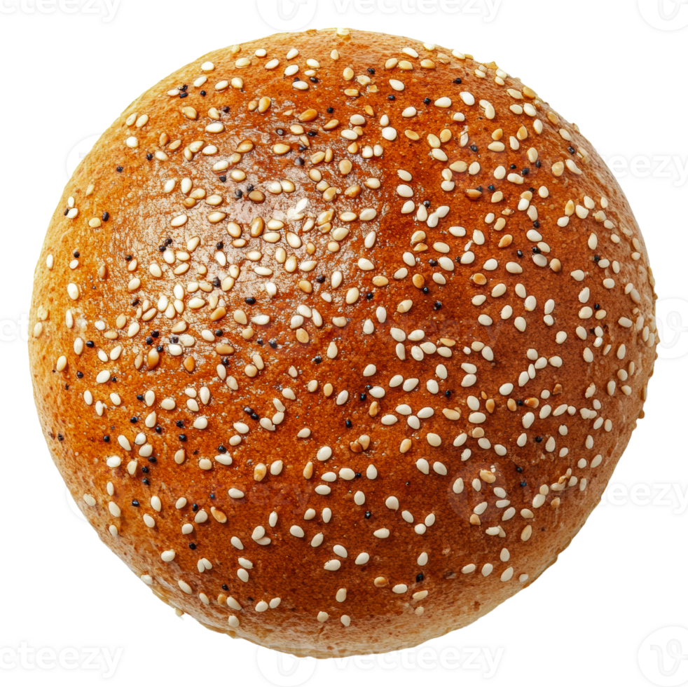 Freshly baked sesame seed bun from a local bakery png